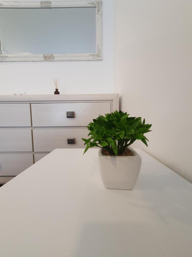 Talsa 1-Bedroom Apartment In City Center Siauliai Zewnętrze zdjęcie
